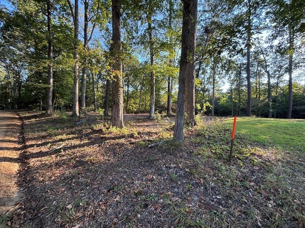 0.52 acres in Texas County gallery image 3