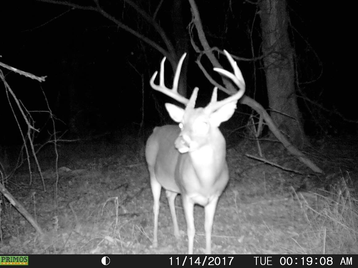 24.78 acres in Montague County - photo 28