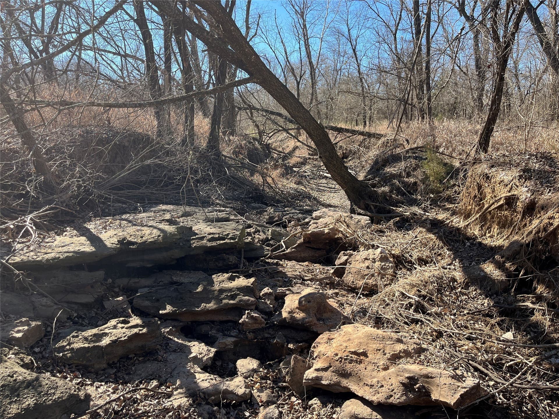 24.78 acres in Montague County - photo 18