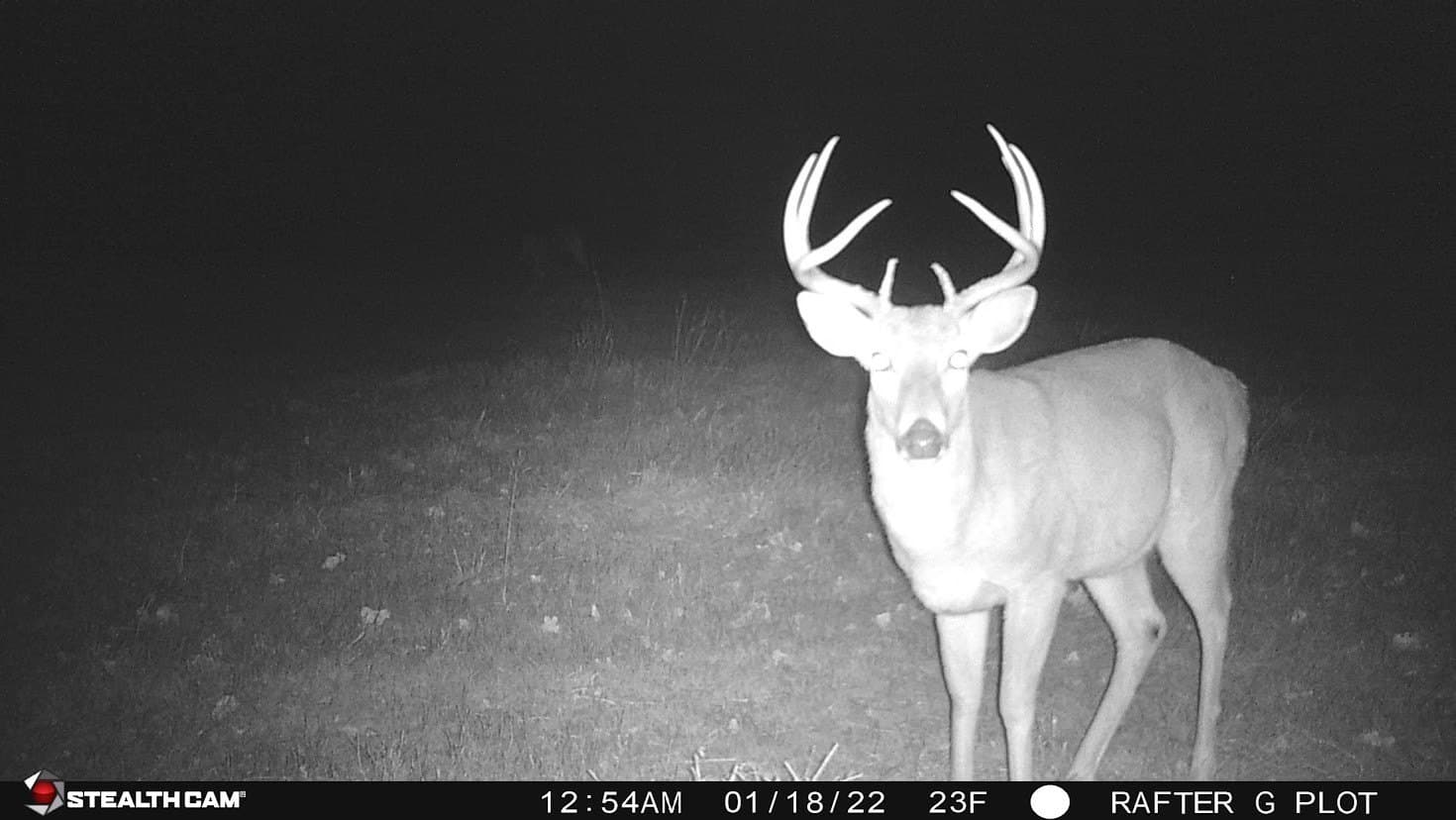 24.78 acres in Montague County - photo 29
