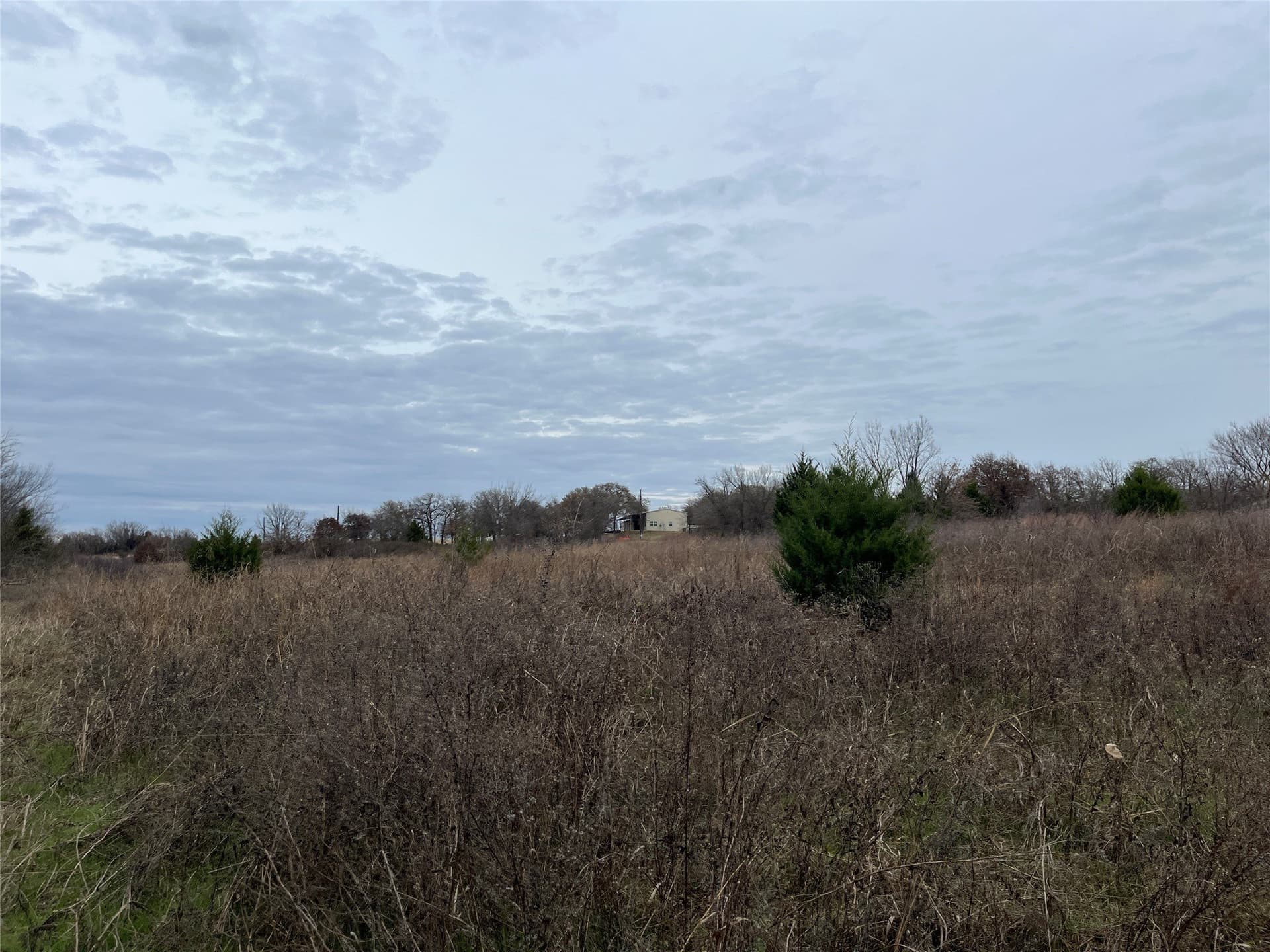 24.78 acres in Montague County - photo 11
