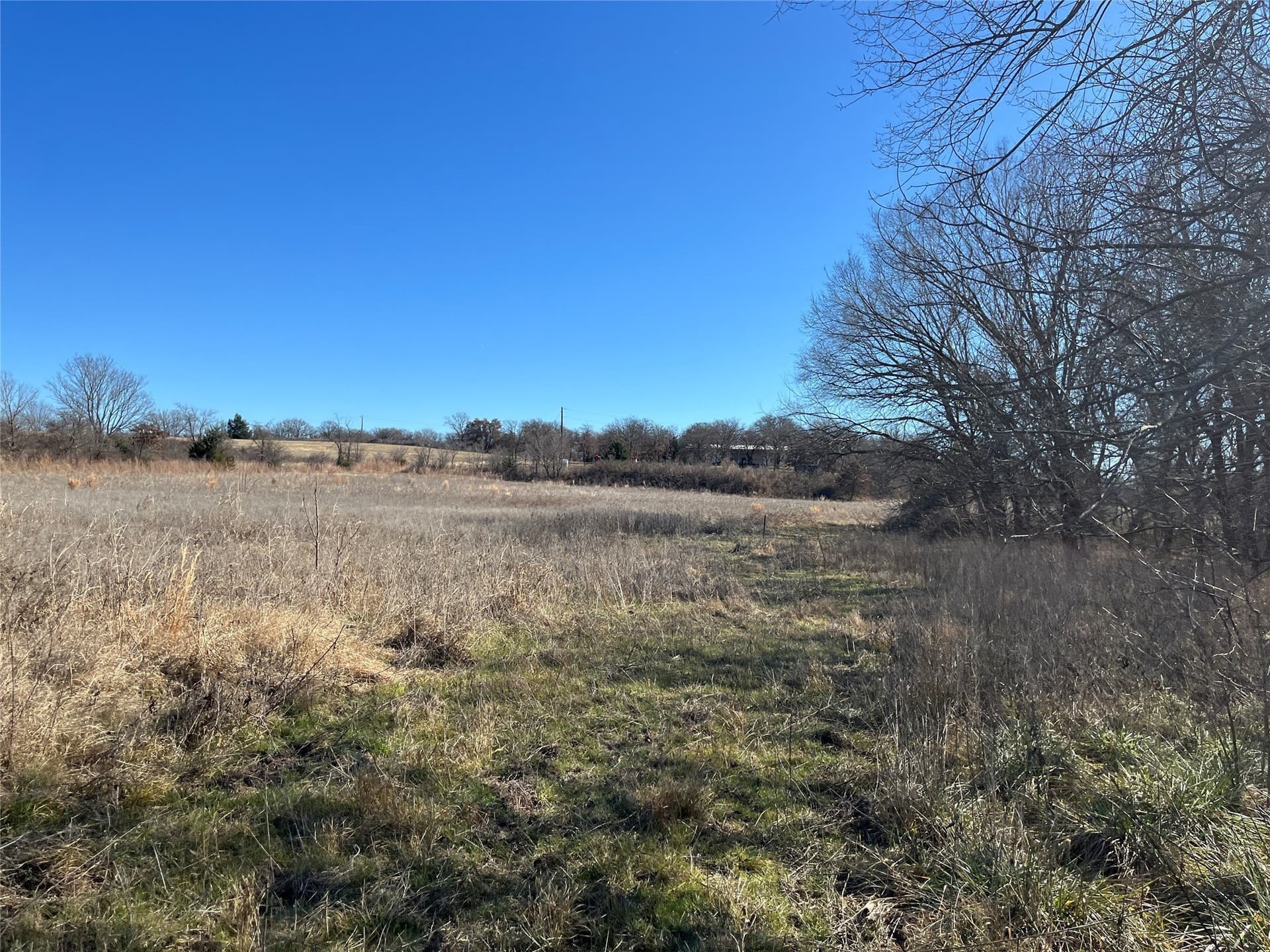 24.78 acres in Montague County gallery image 4