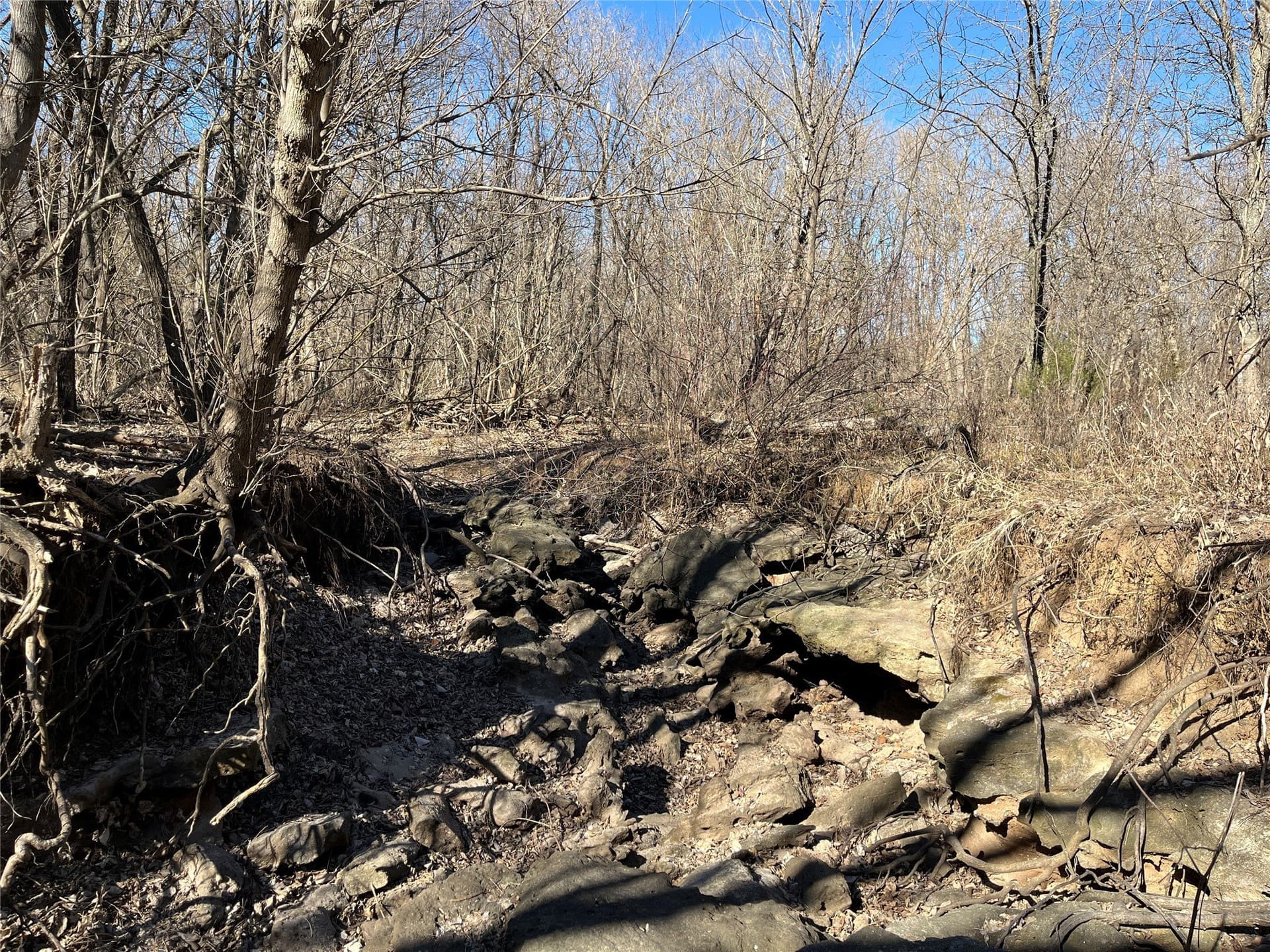 24.78 acres in Montague County - photo 19