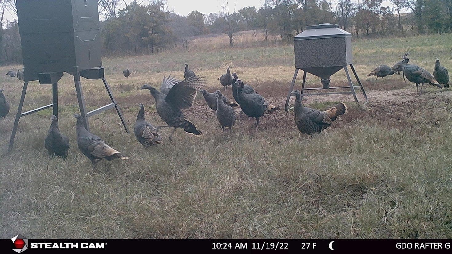 24.78 acres in Montague County
