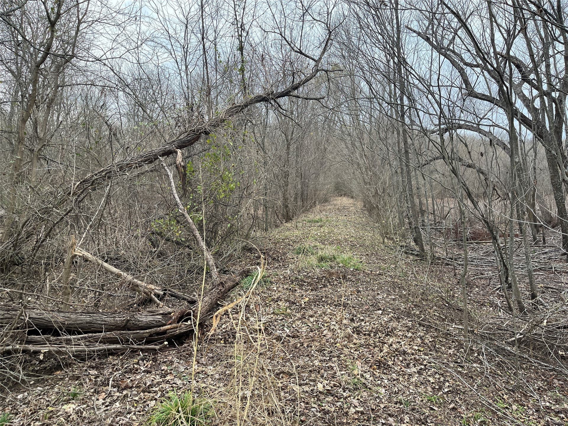 24.78 acres in Montague County - photo 24