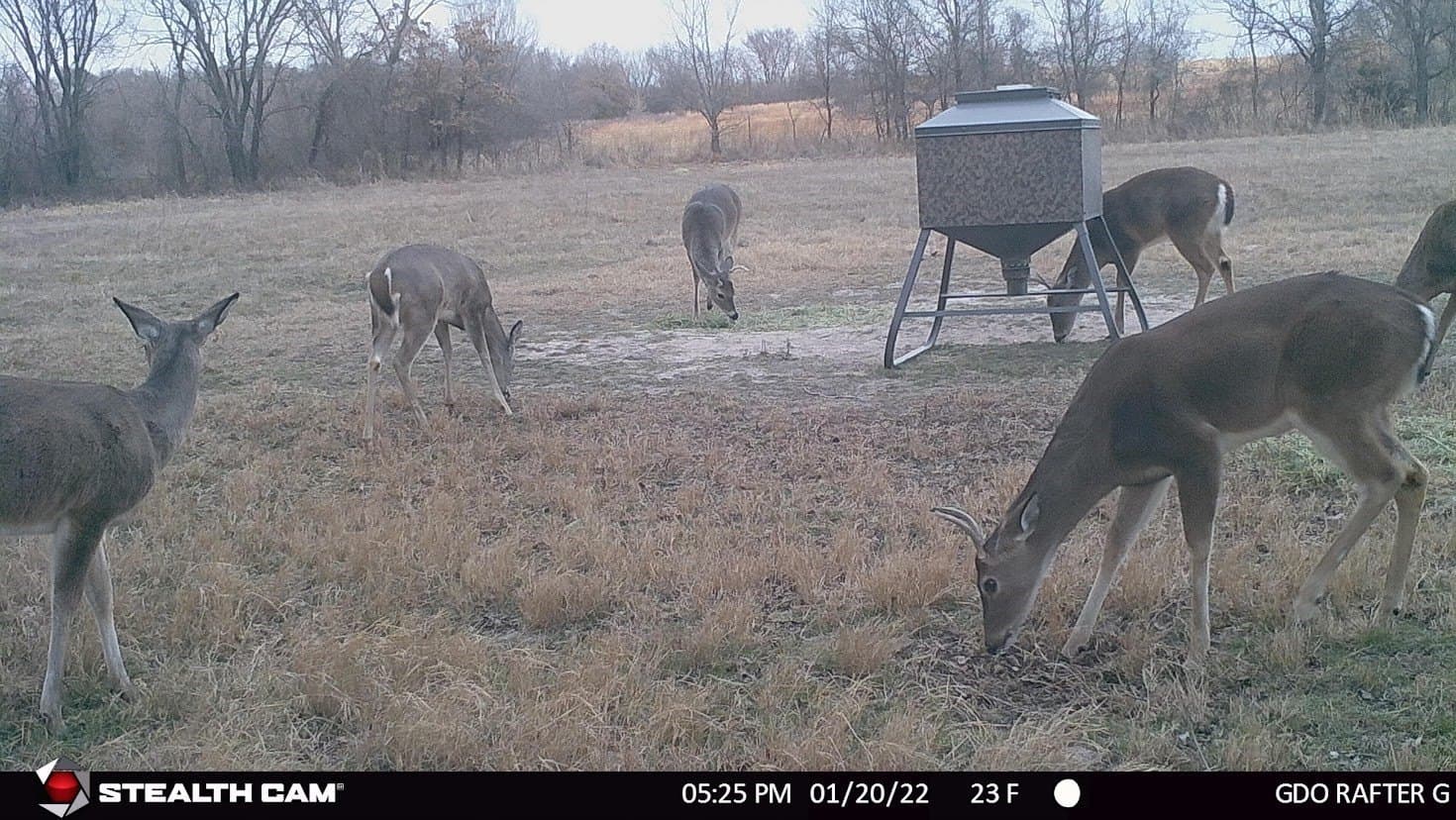 24.78 acres in Montague County - photo 2