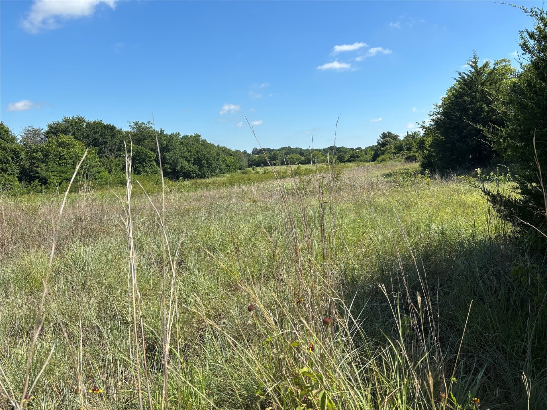 24.78 acres in Montague County gallery image 2