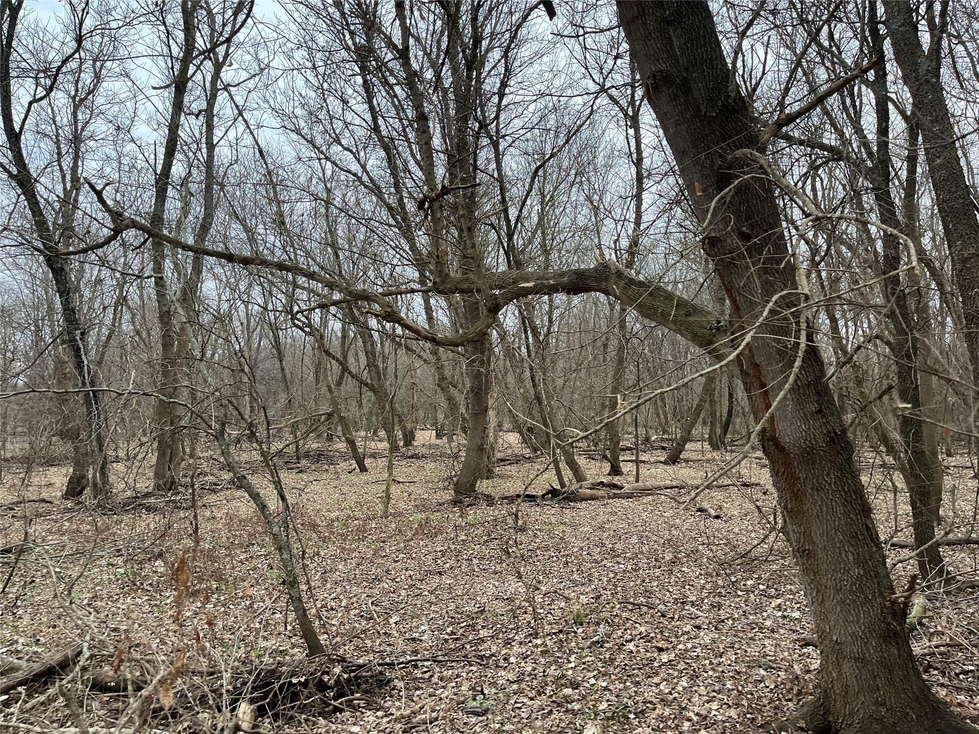 24.78 acres in Montague County - photo 25