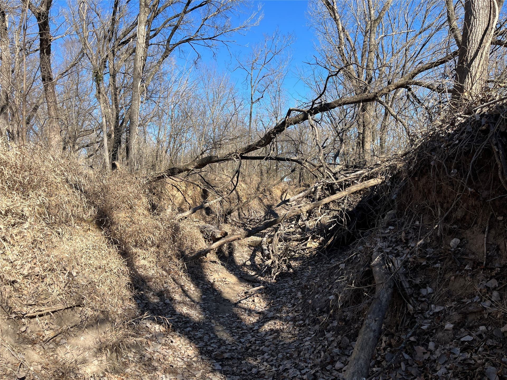 24.78 acres in Montague County - photo 17