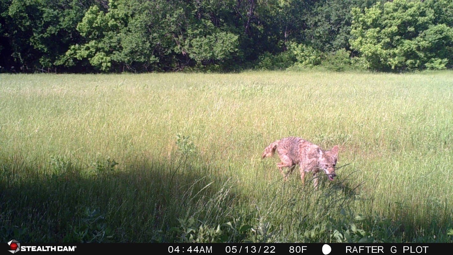 24.78 acres in Montague County - photo 34