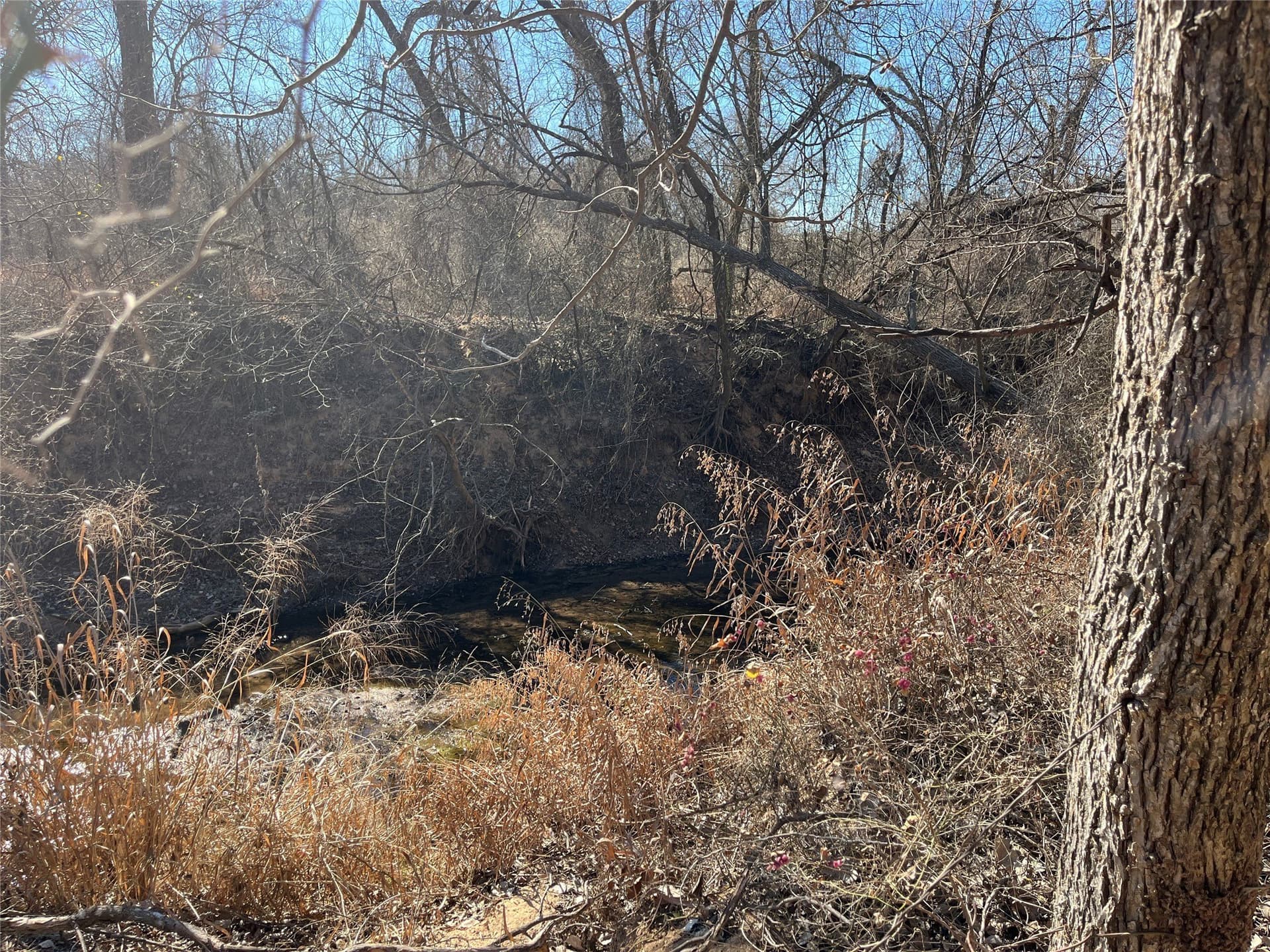 24.78 acres in Montague County - photo 16