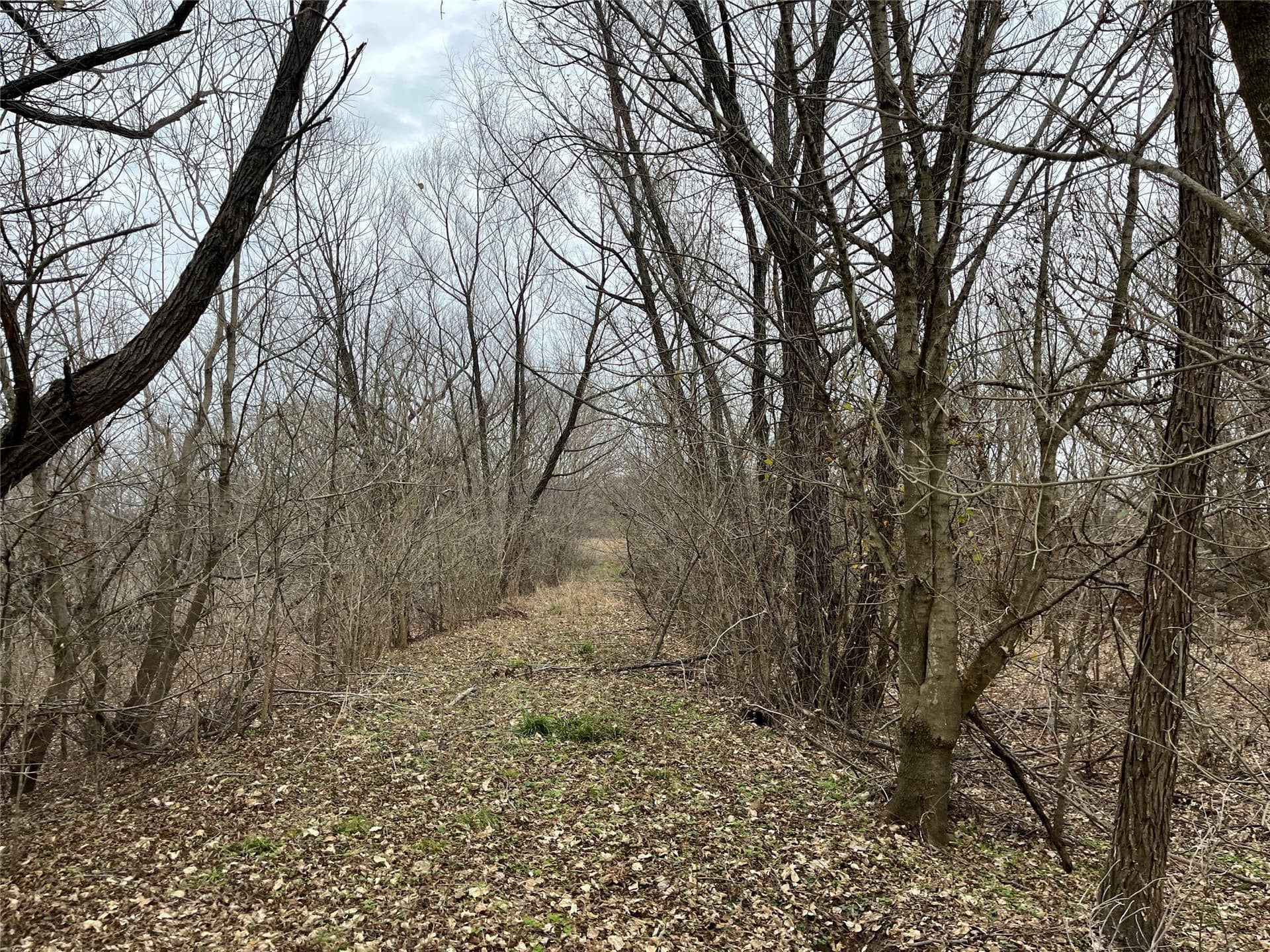 24.78 acres in Montague County - photo 23