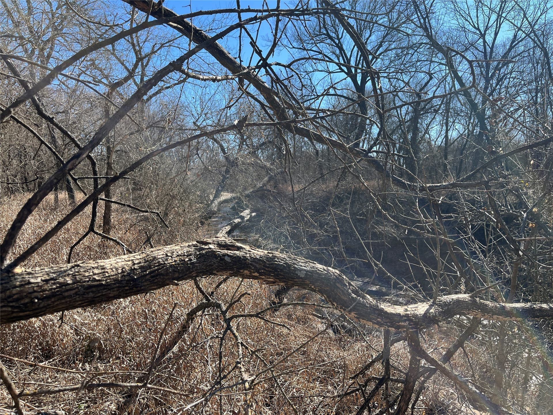 24.78 acres in Montague County - photo 15