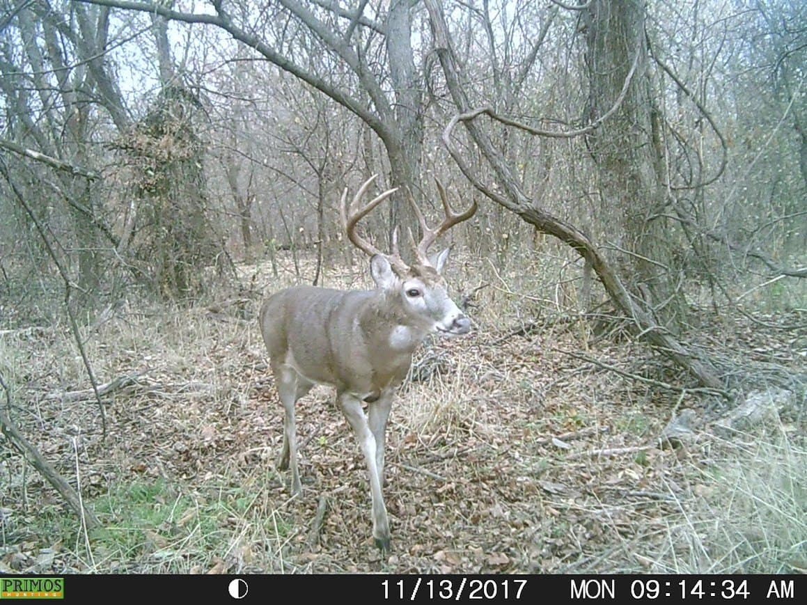 24.78 acres in Montague County - photo 9