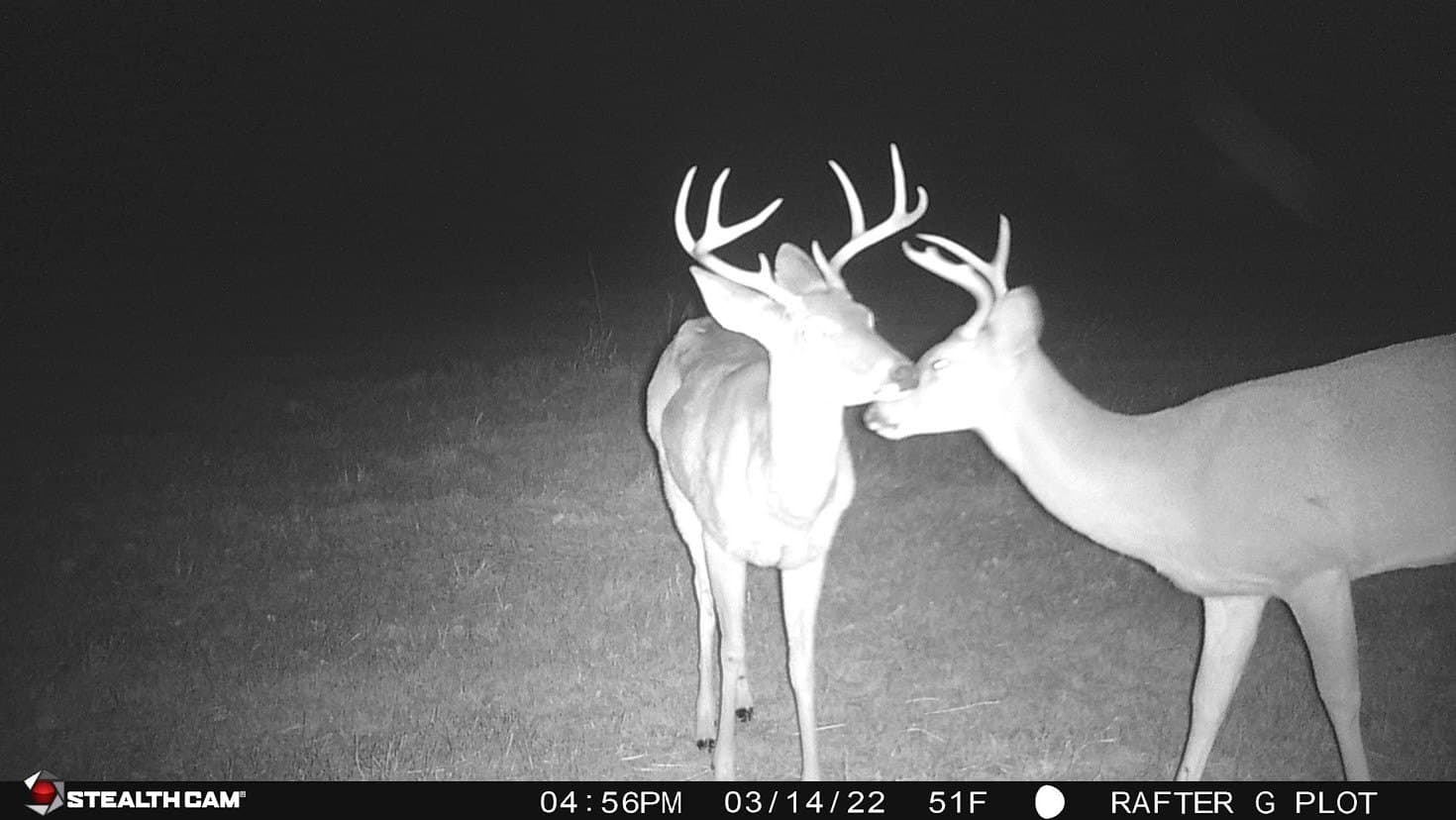 24.78 acres in Montague County - photo 32