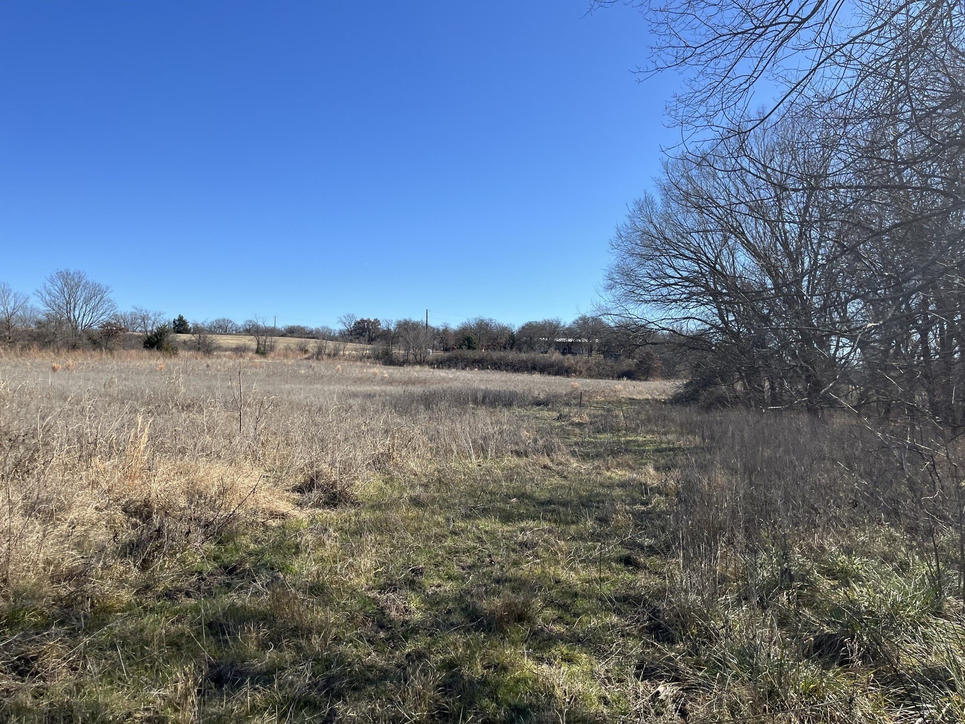 24.78 acres in Montague County - photo 38