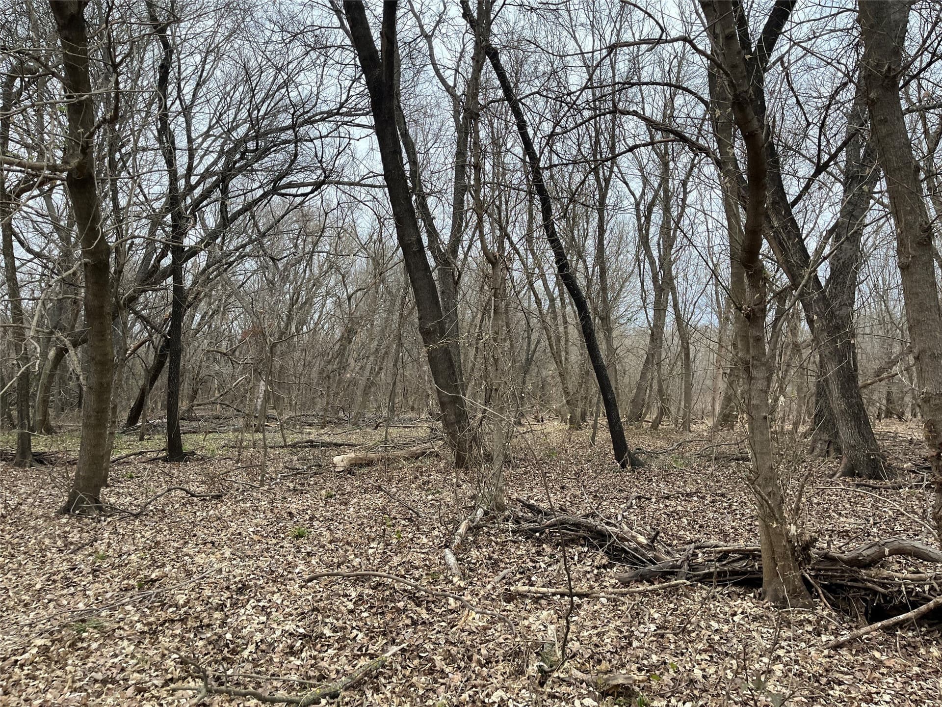 24.78 acres in Montague County - photo 27