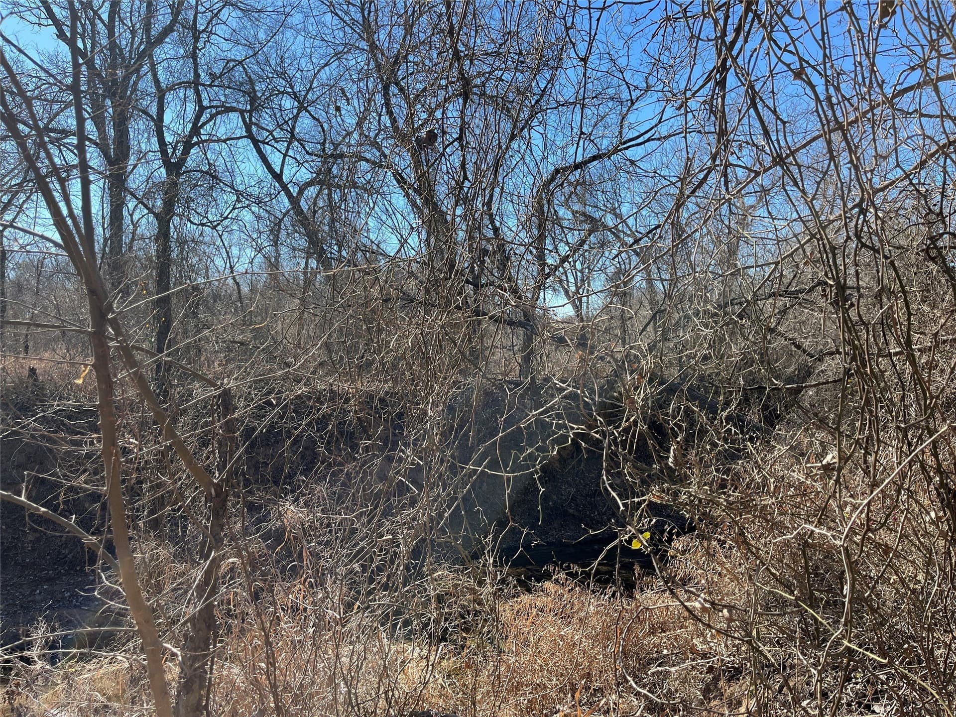 24.78 acres in Montague County - photo 21