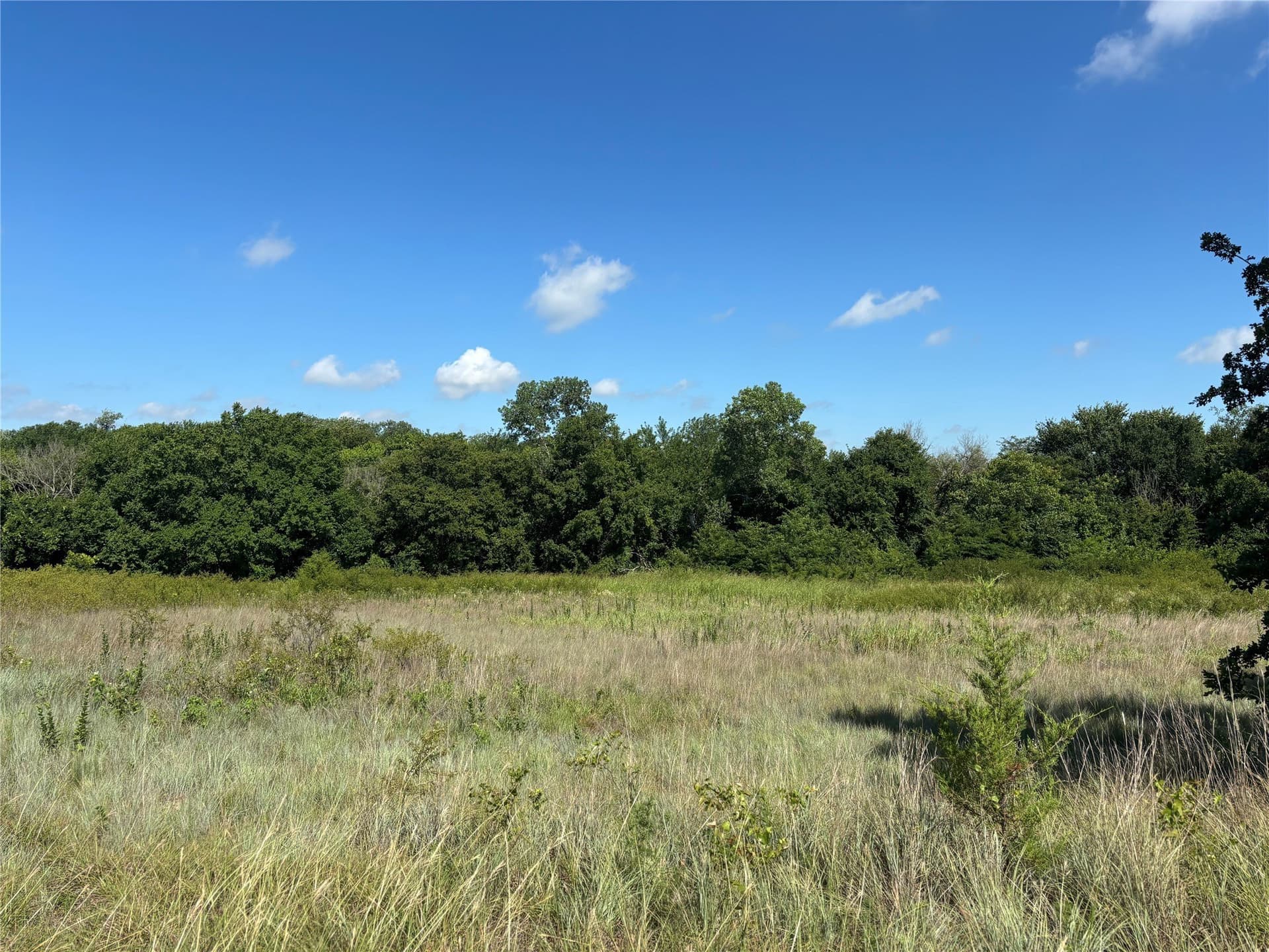 24.78 acres in Montague County