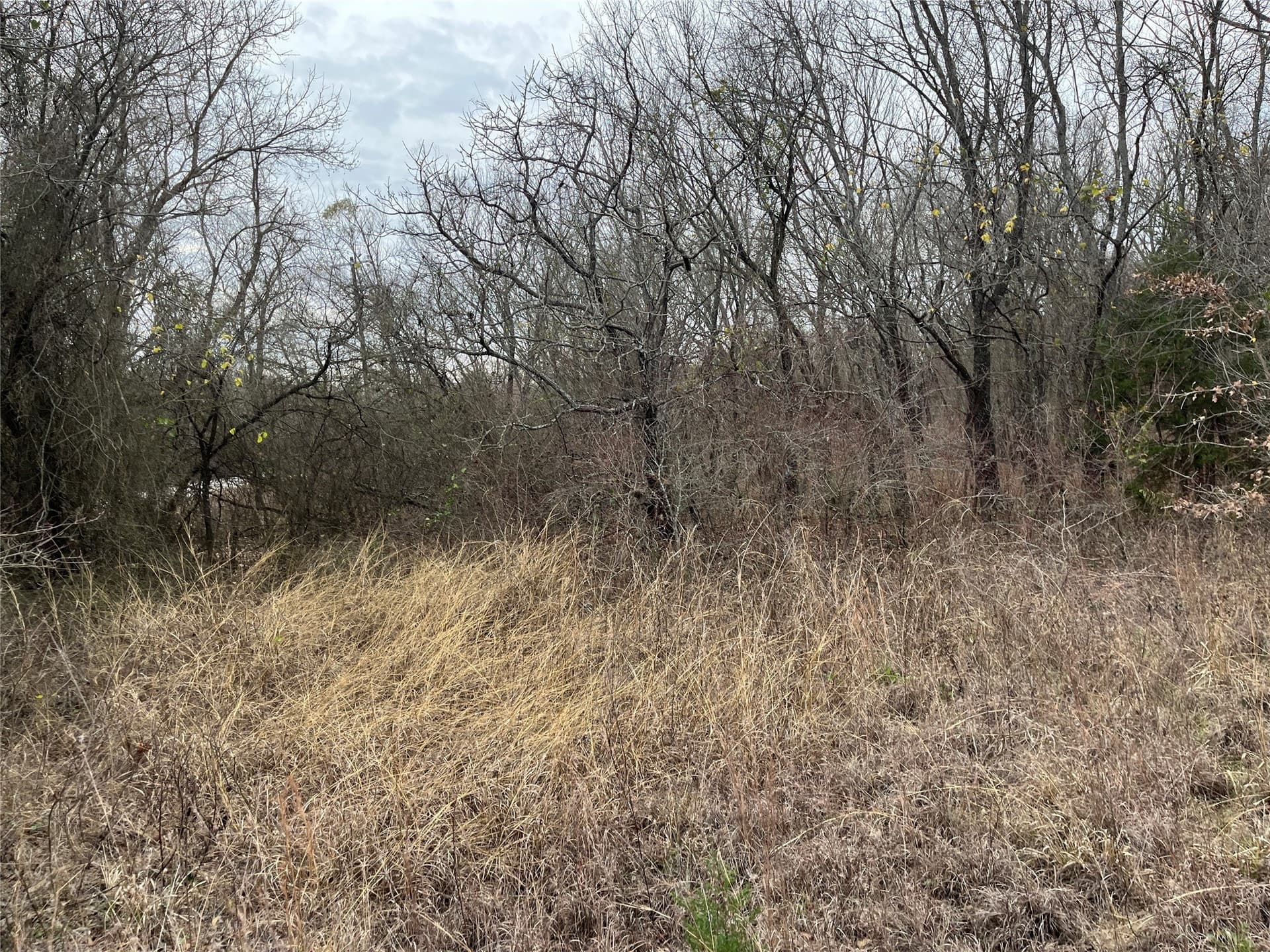 24.78 acres in Montague County - photo 12