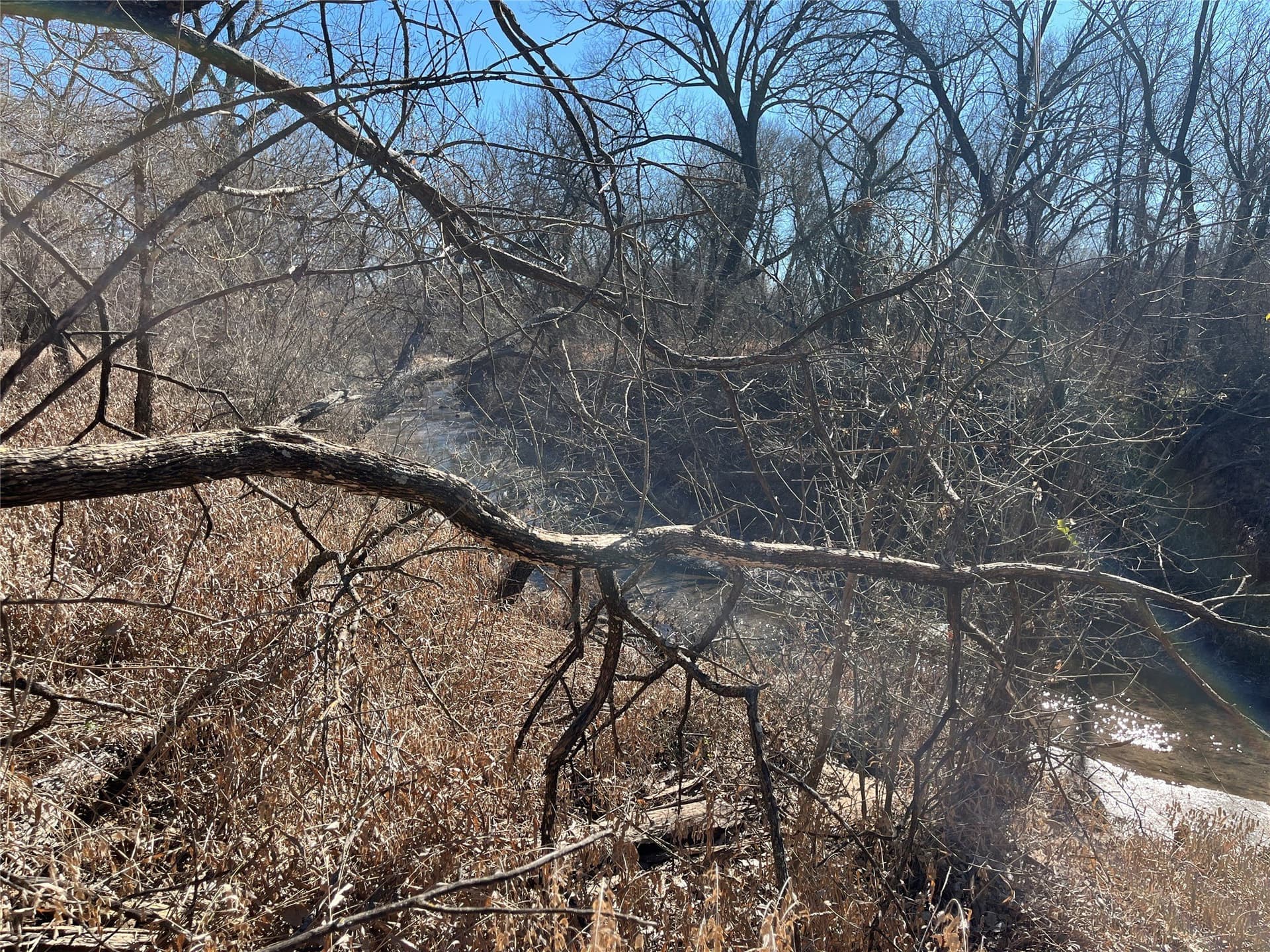 24.78 acres in Montague County - photo 14