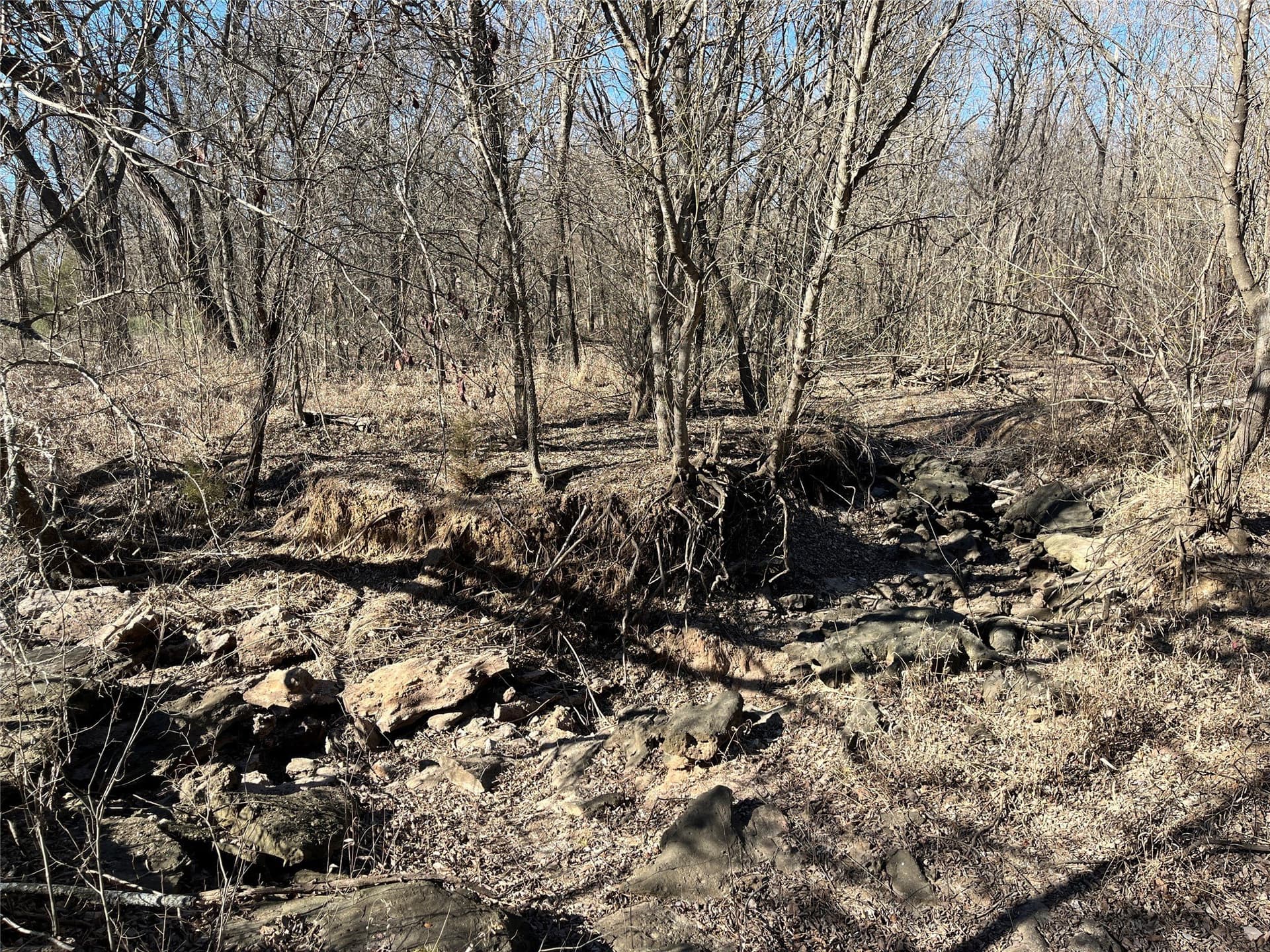 24.78 acres in Montague County - photo 20