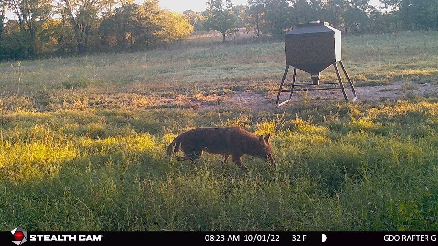 24.78 acres in Montague County - photo 30