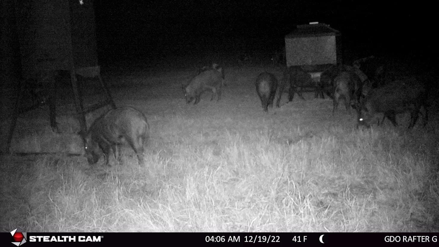 24.78 acres in Montague County - photo 35