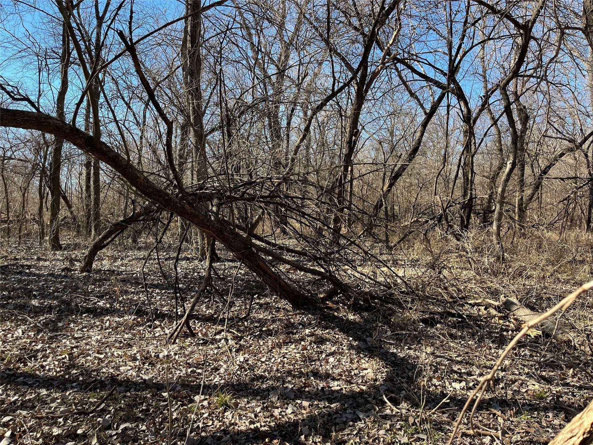 24.78 acres in Montague County - photo 22