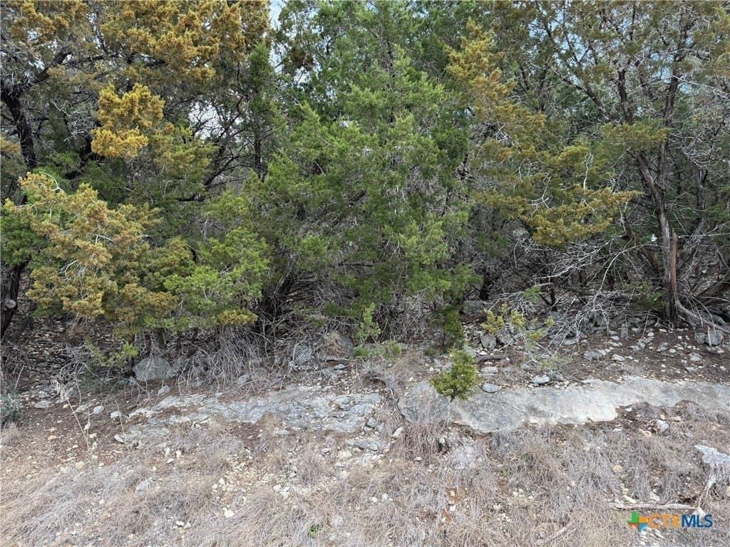 0.25 acres in Comal County featured view