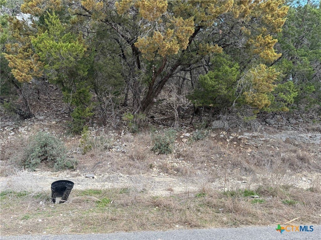 0.25 acres in Comal County gallery image 4