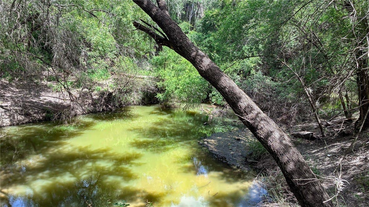 1 acres in Live Oak County - photo 2