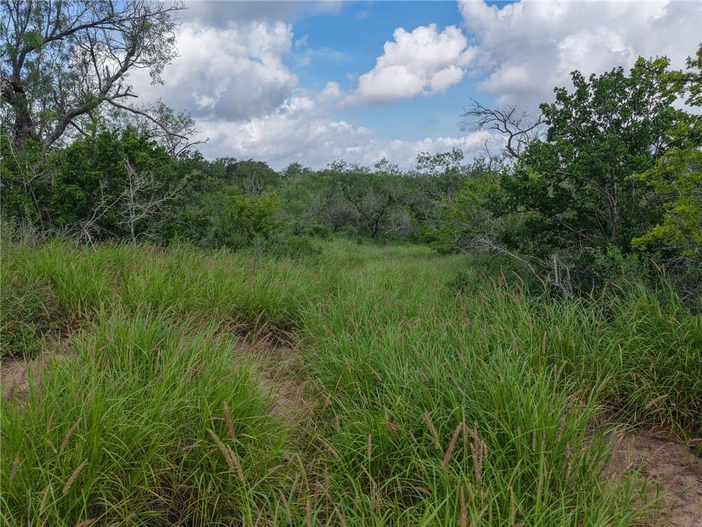 1 acres in Live Oak County - photo 7