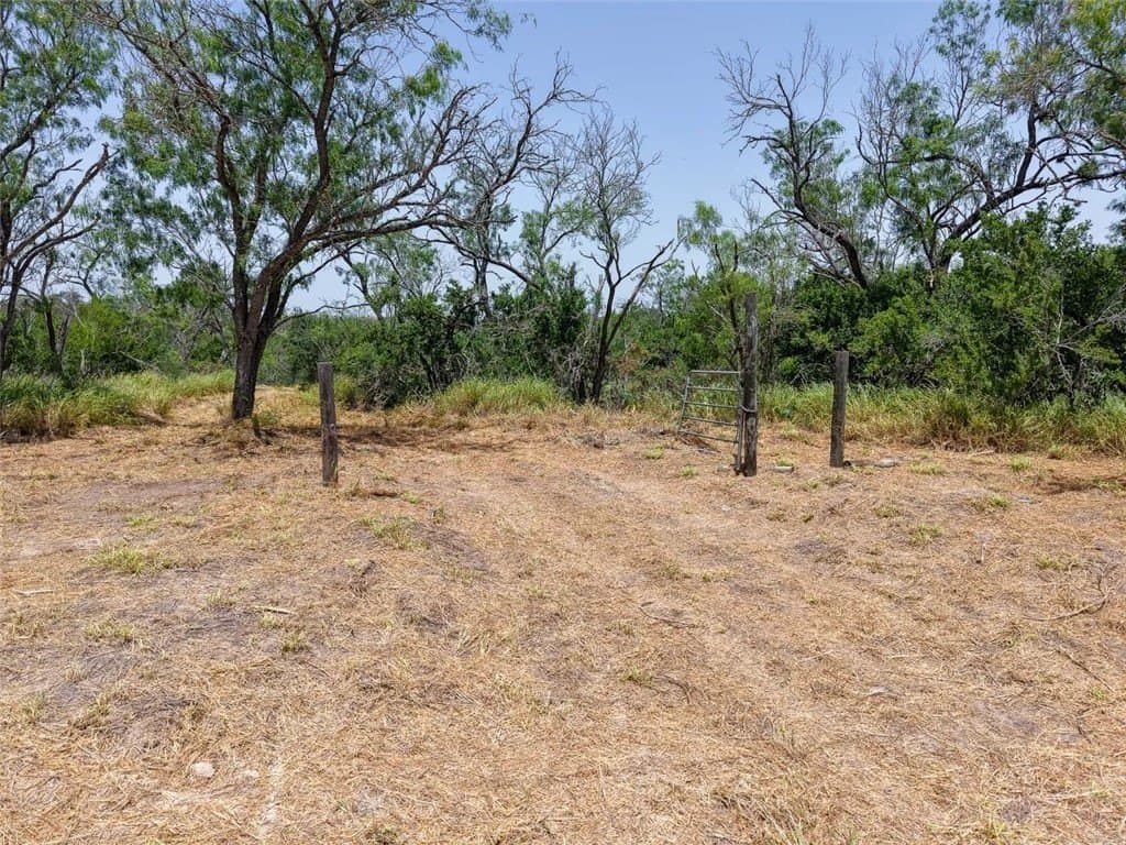 1 acres in Live Oak County - photo 8