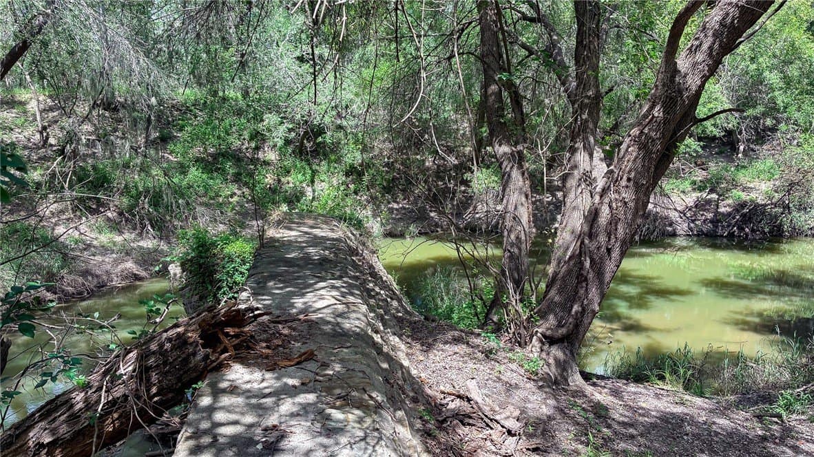 1 acres in Live Oak County - photo 5