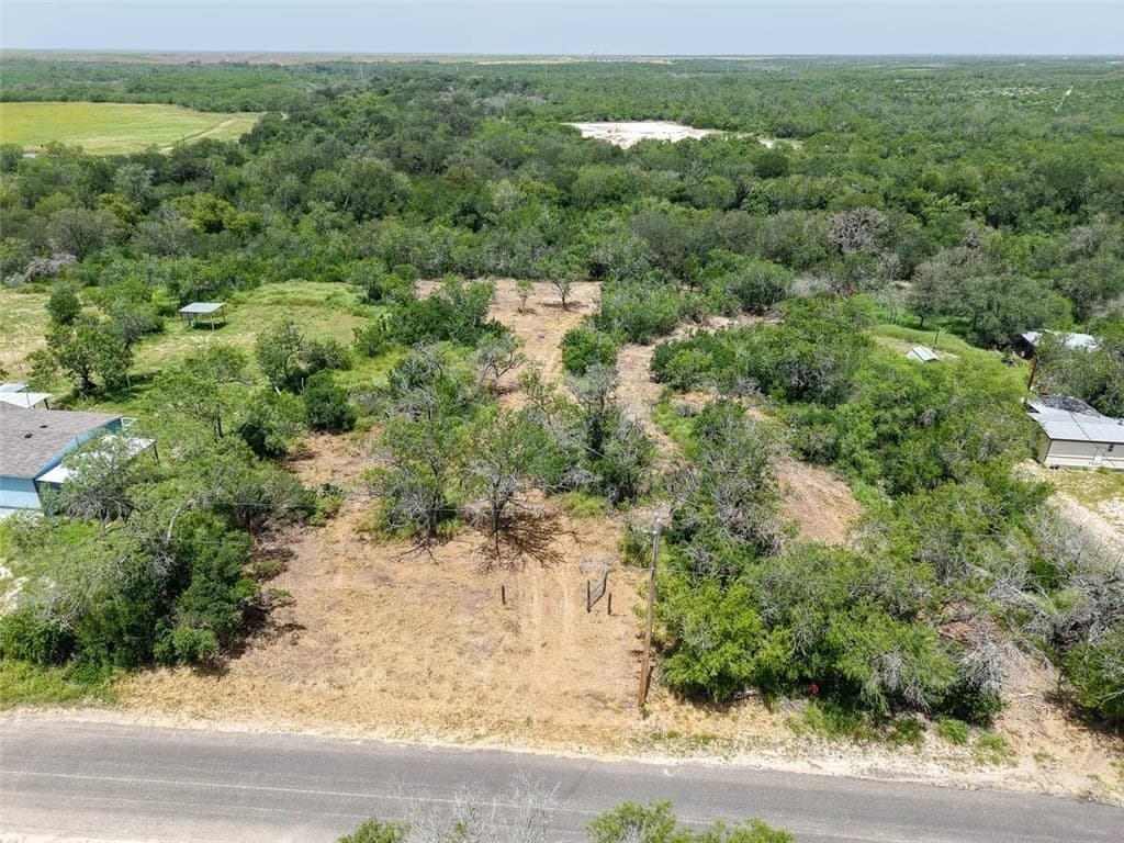 1 acres in Live Oak County - photo 6