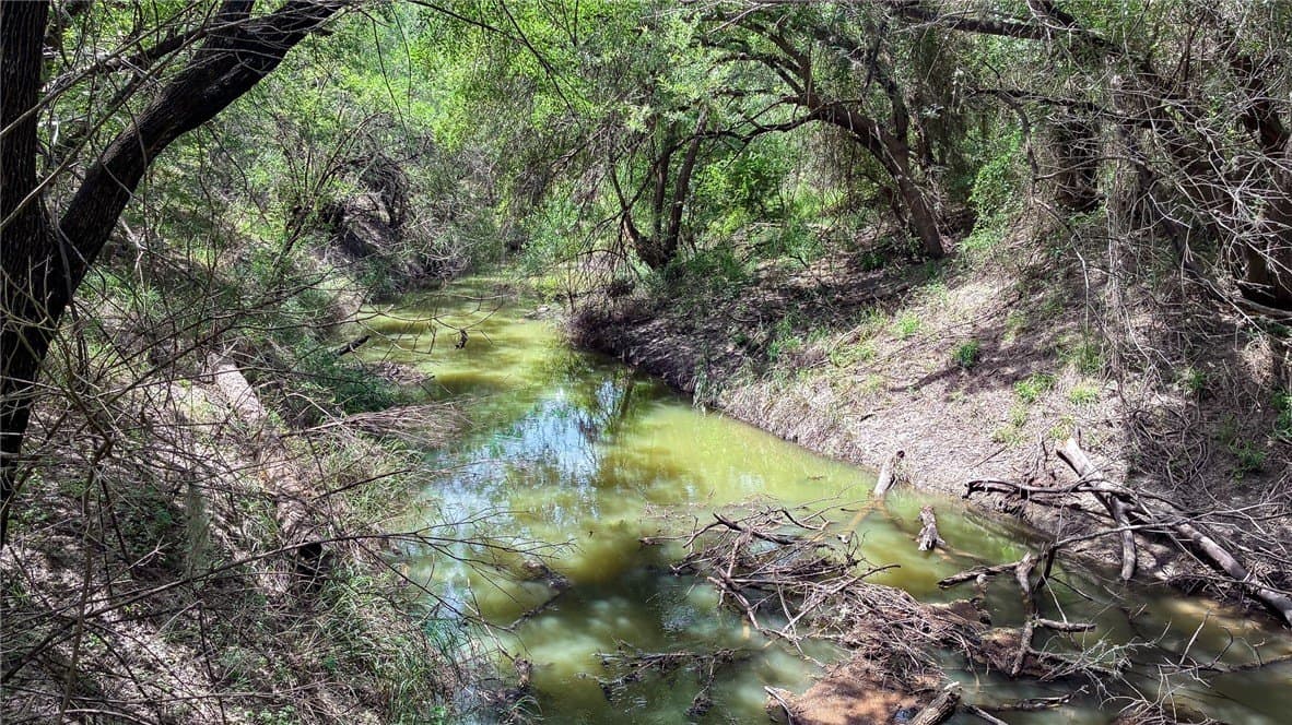 1 acres in Live Oak County - photo 4