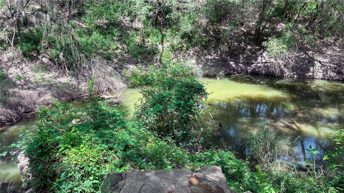 1 acres in Live Oak County - photo 3