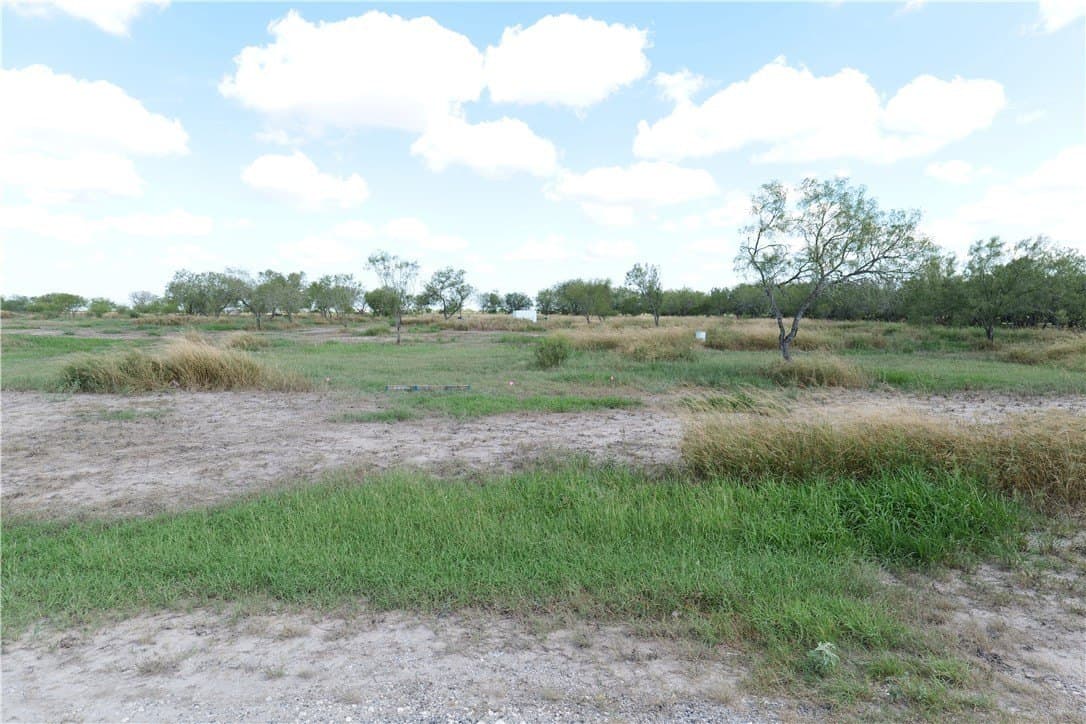 2.72 acres in Nueces County gallery image 4