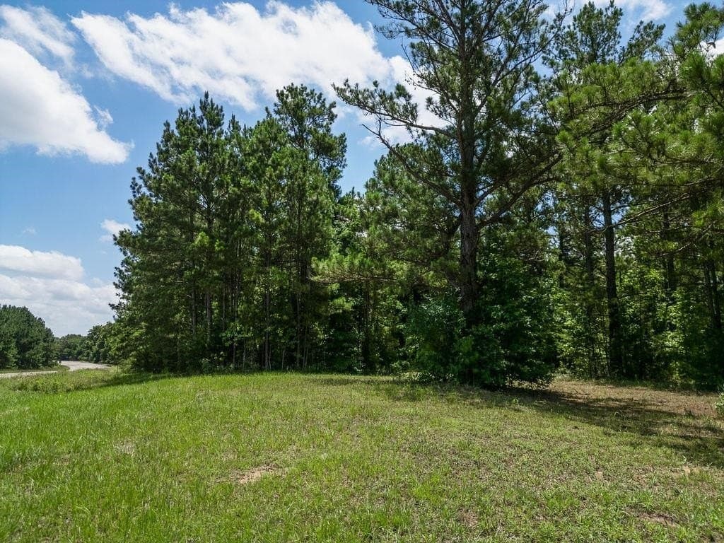 5 acres in Texas County featured view