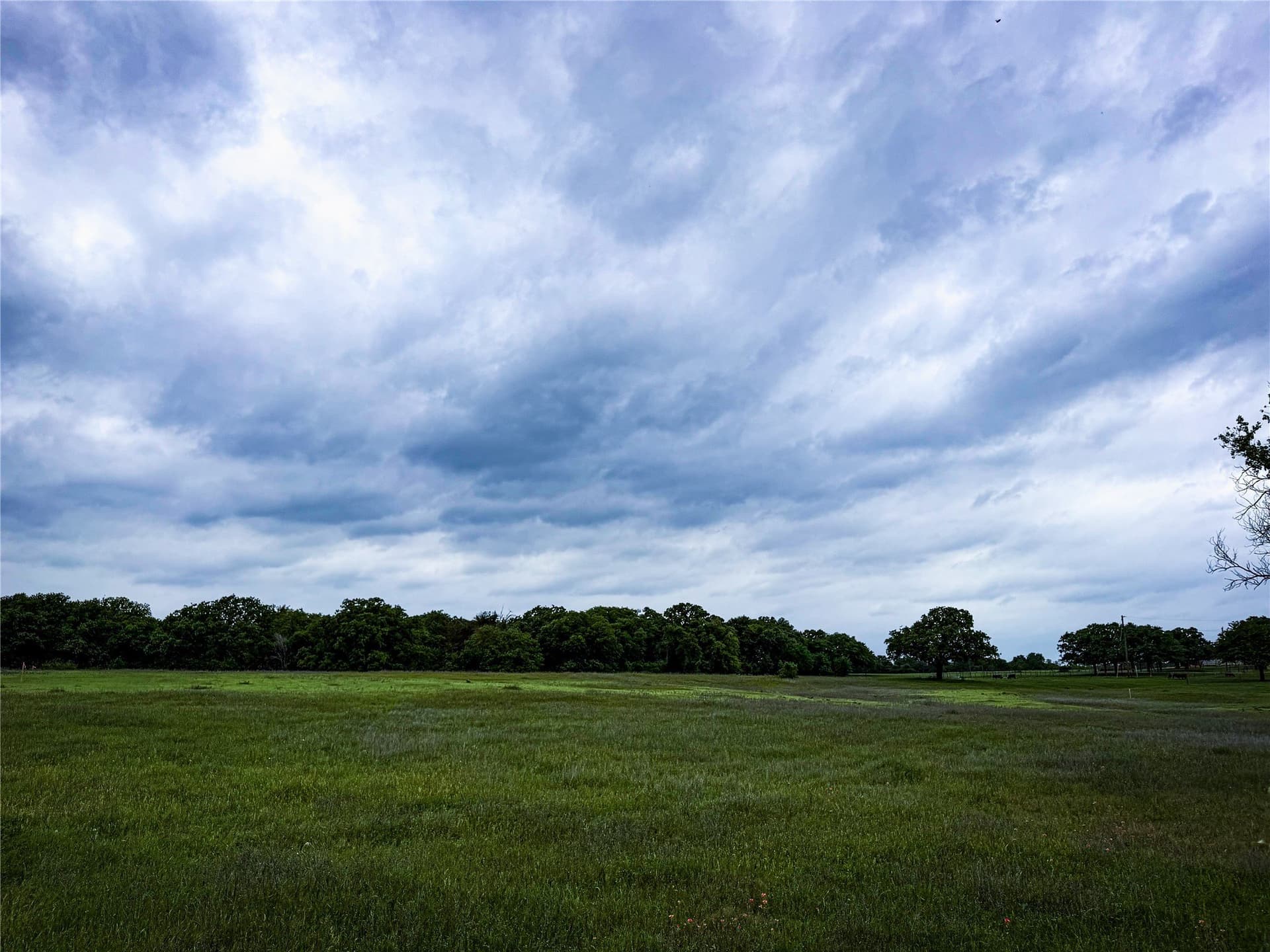 4 acres in Parker County - photo 7