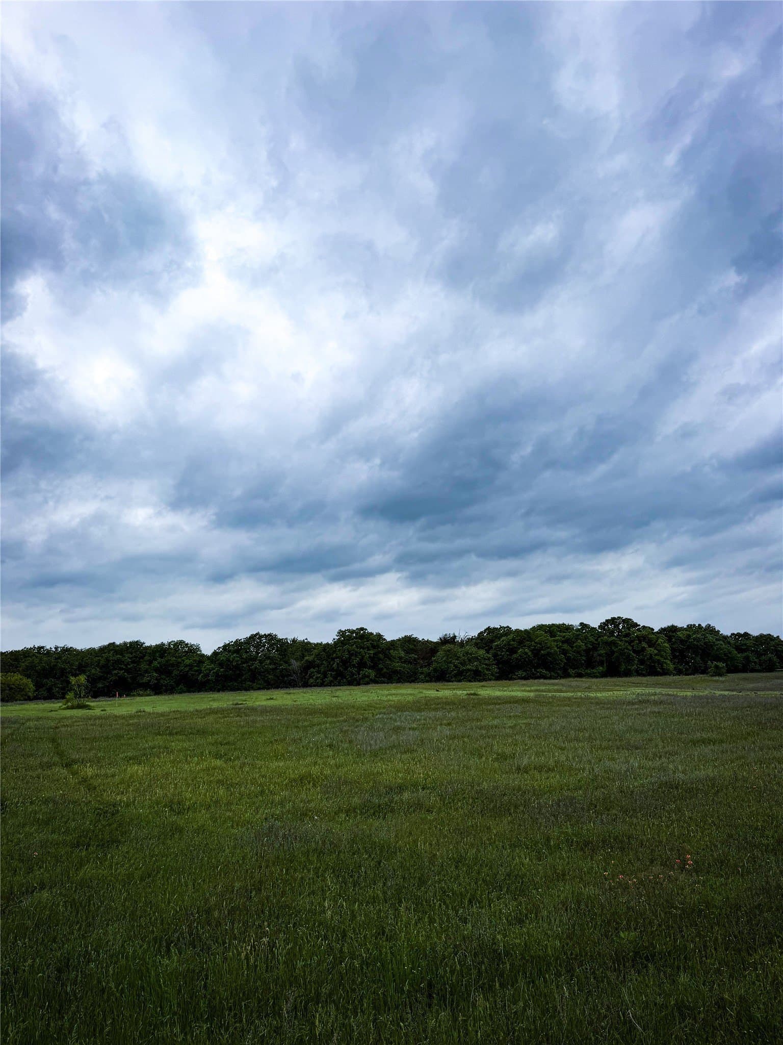 4 acres in Parker County - photo 6