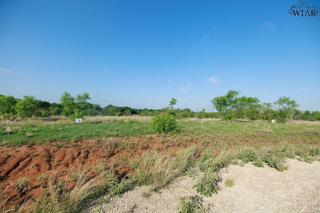 11 acres in Clay County gallery image 4