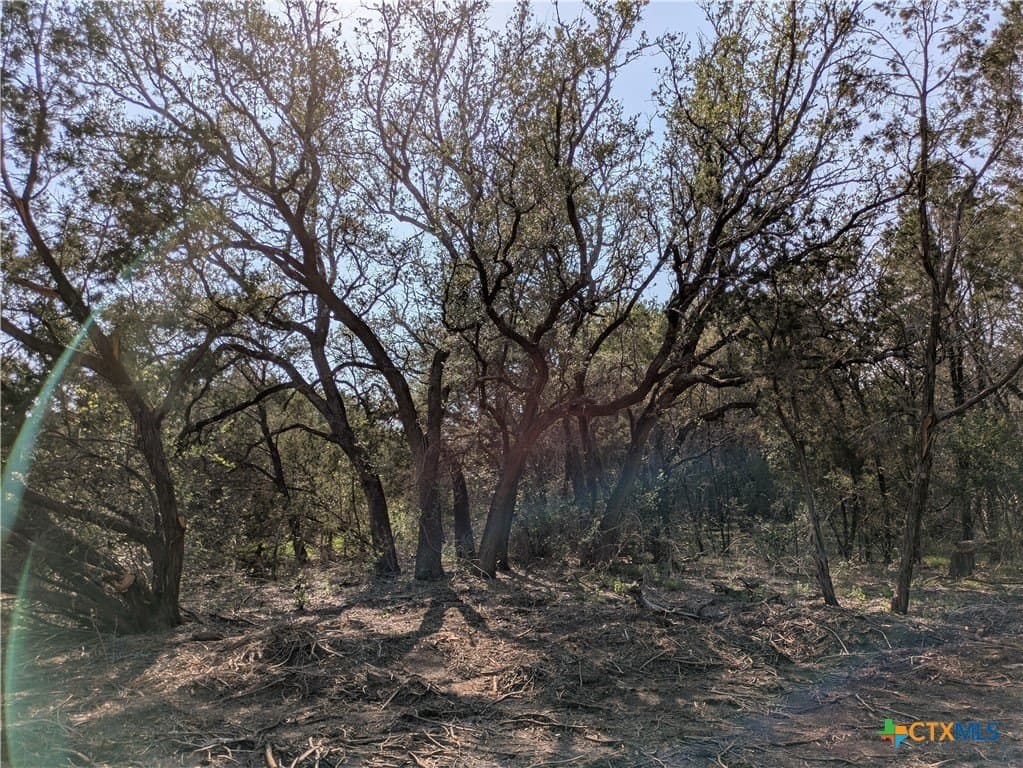 10.01 acres in Lampasas County - photo 5