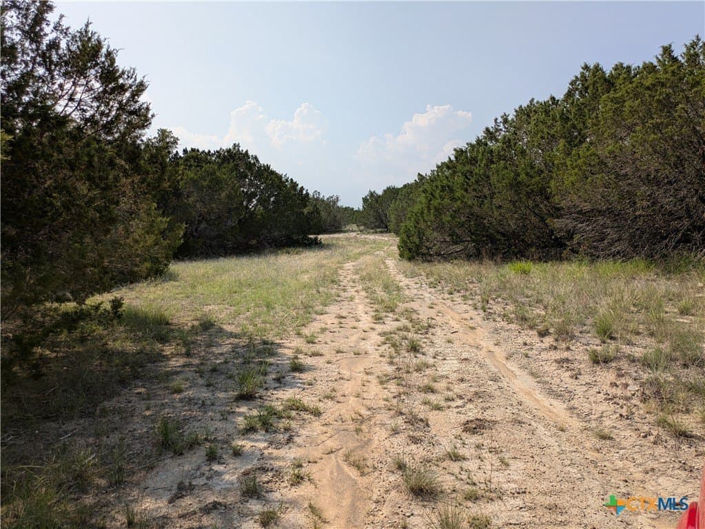 10.01 acres in Lampasas County - photo 3