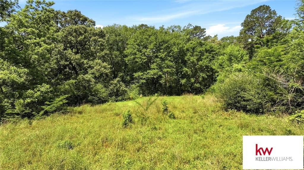44.64 acres in Cherokee County gallery image 4