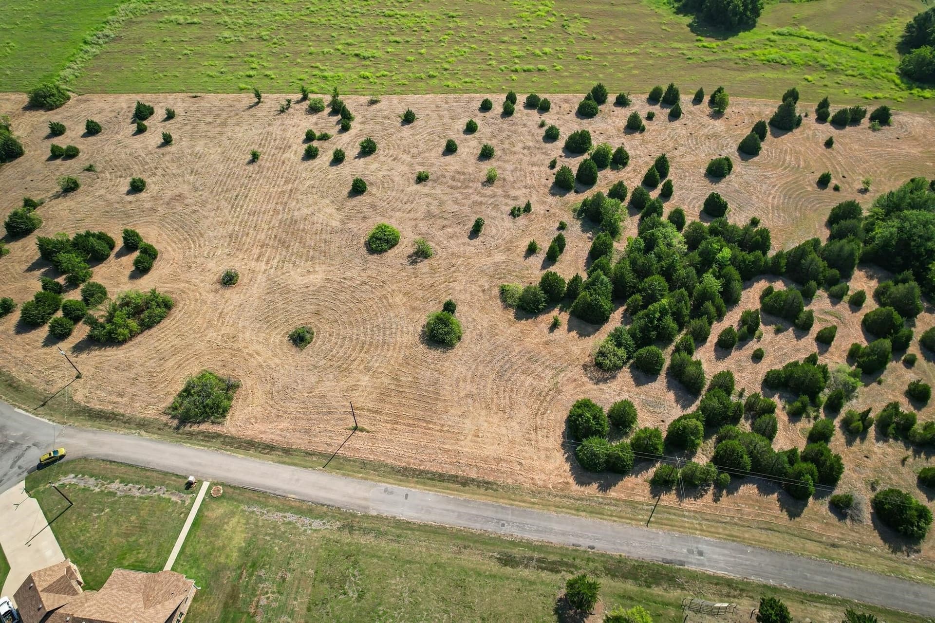 6.6 acres in Navarro County gallery image 2