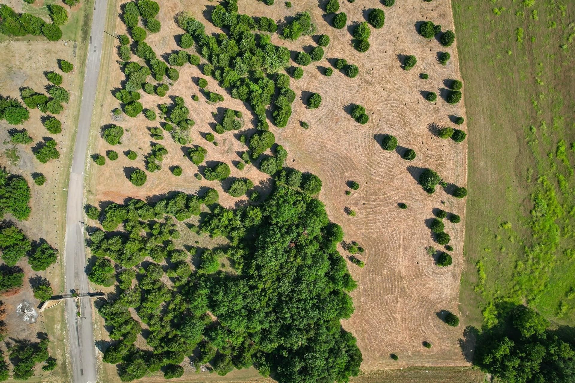 6.6 acres in Navarro County gallery image 4