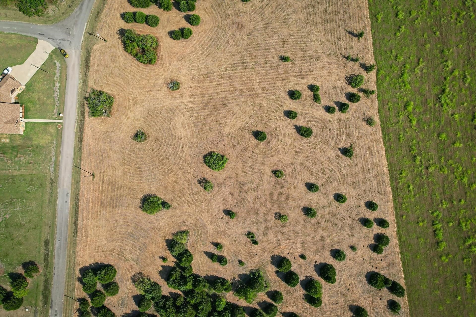6.6 acres in Navarro County gallery image 3