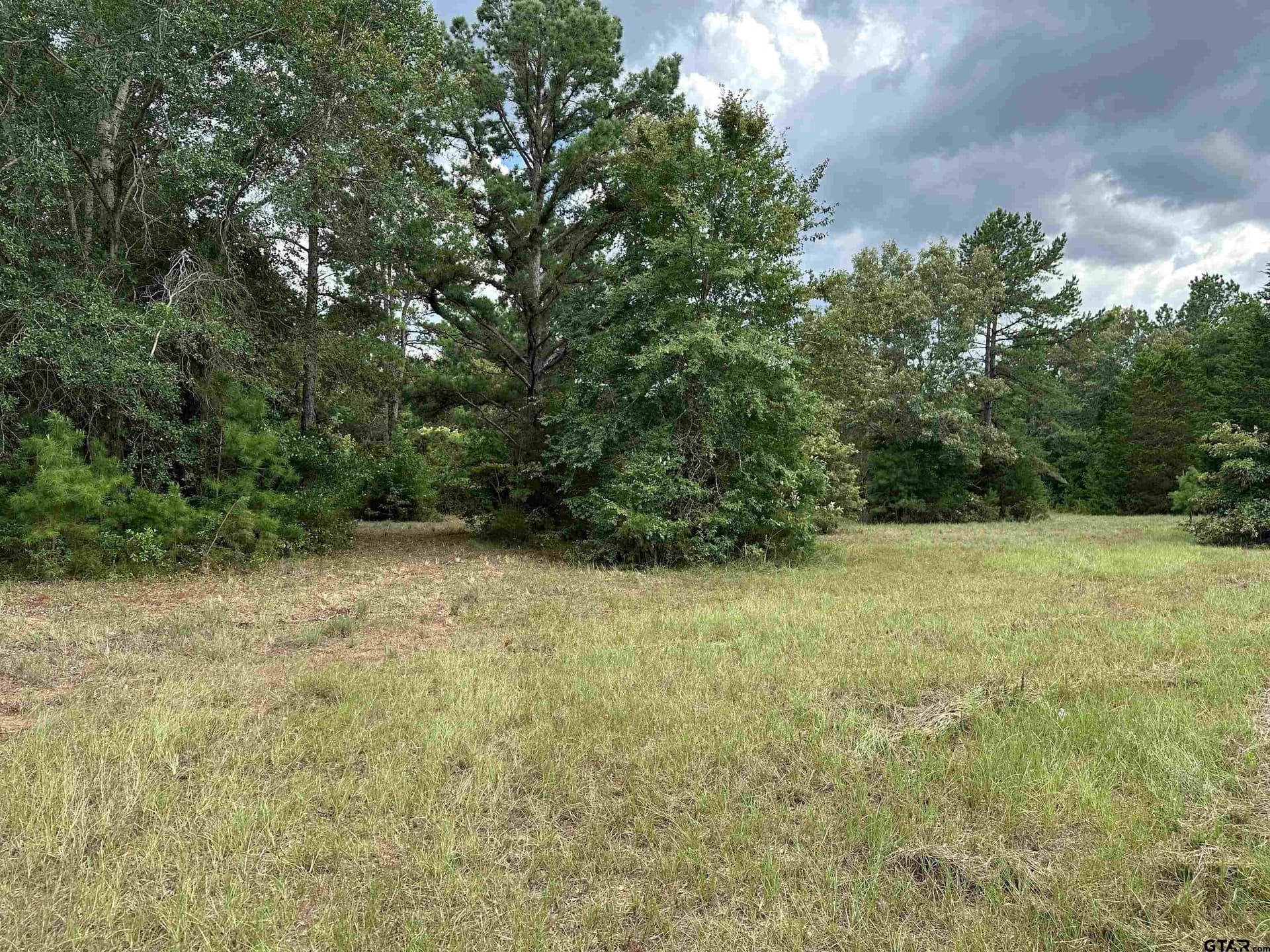 21.29 acres in Anderson County - photo 14